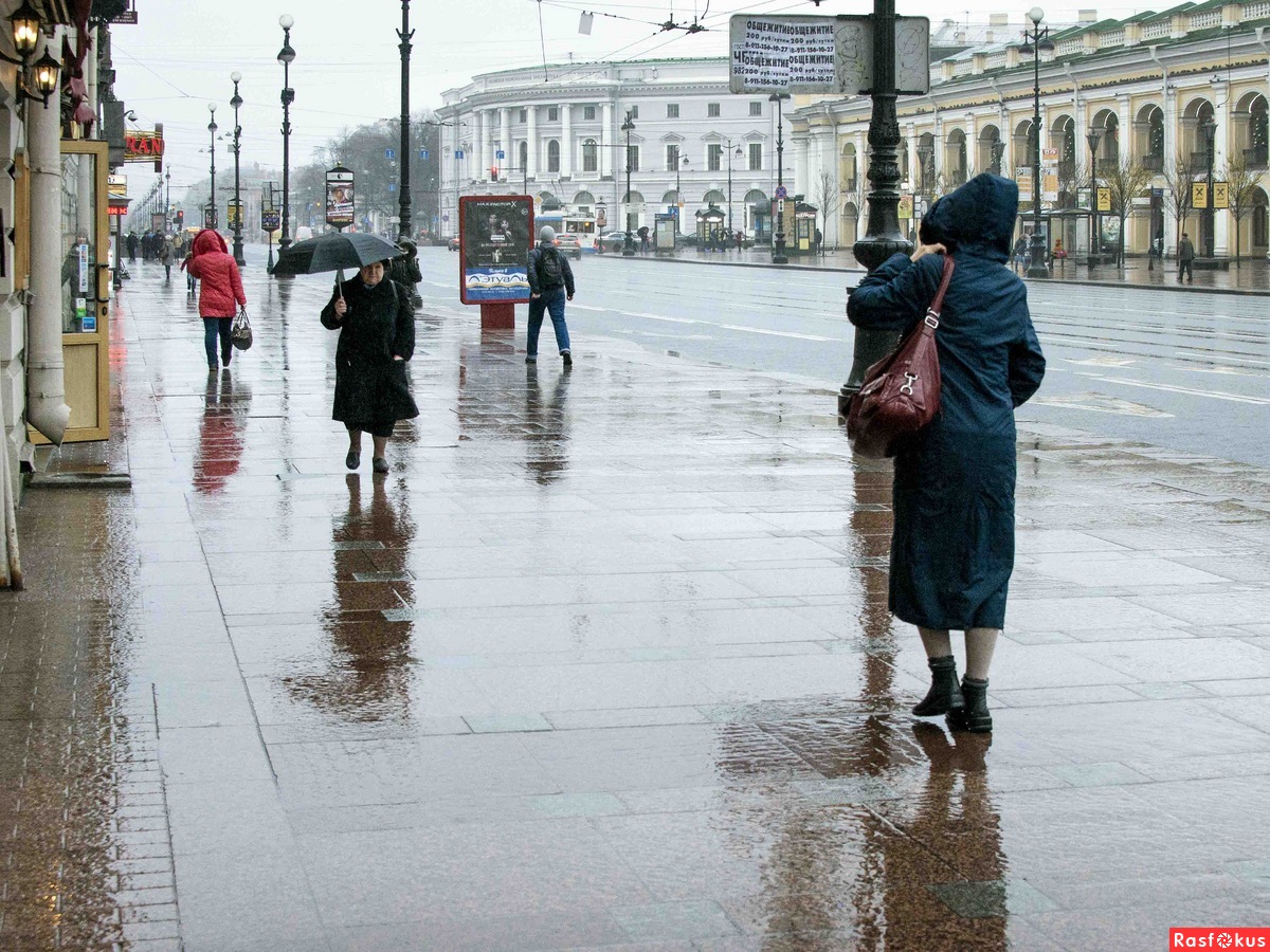 Мокрый Петербург