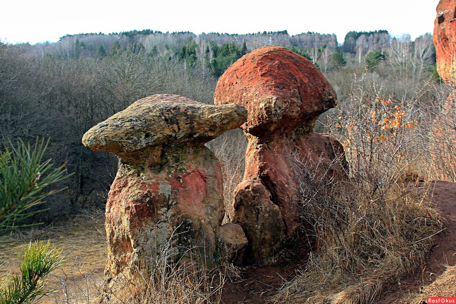 Каменные грибы.