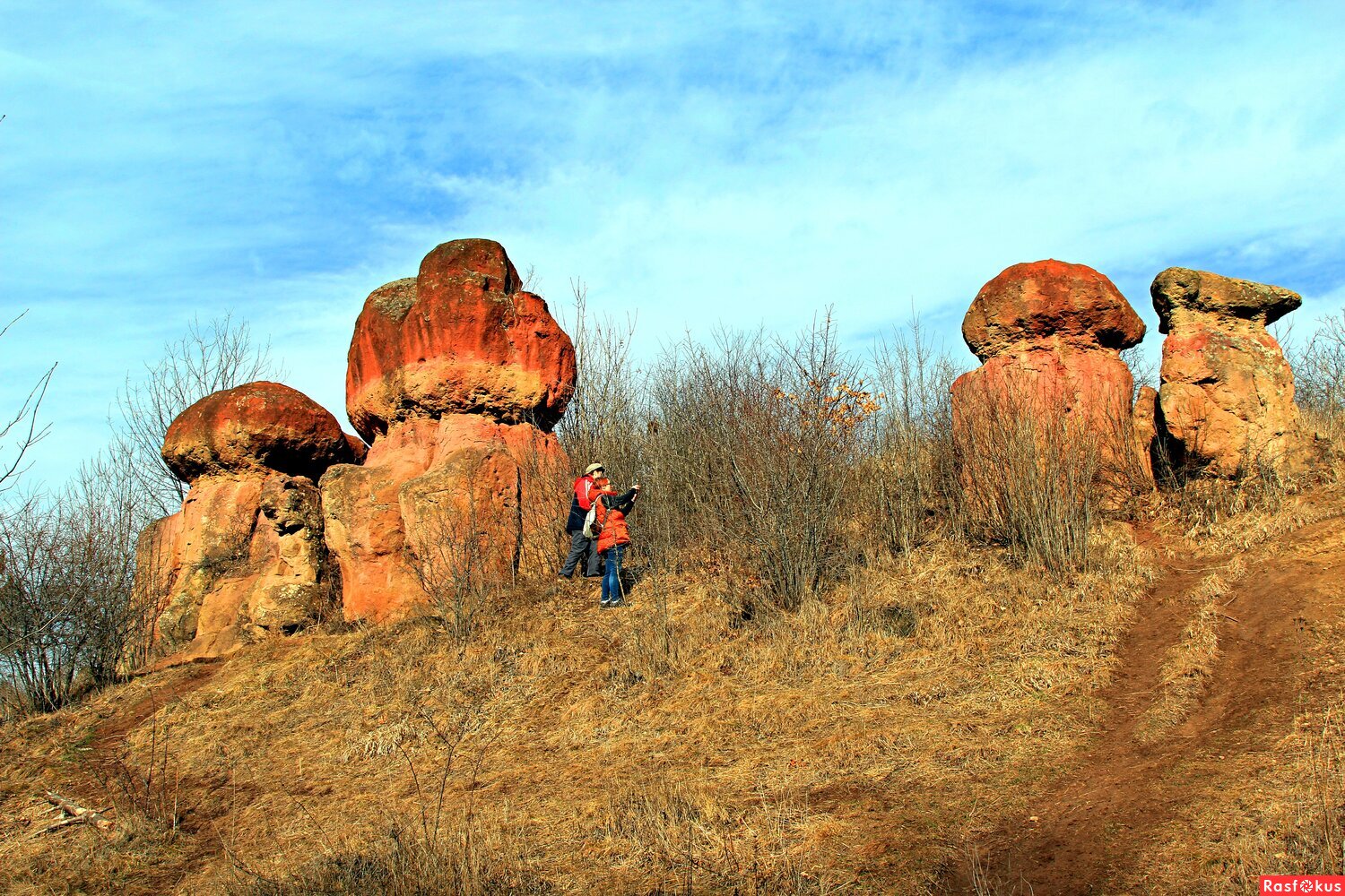 Путешественники у каменных грибов.