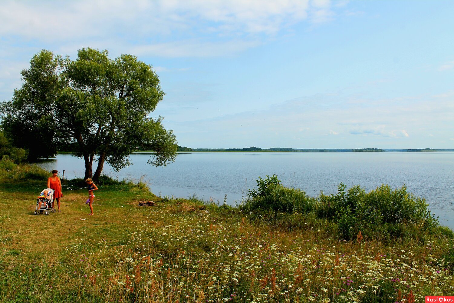 озеро Жижицкое (Псковская область/Куньинский район)