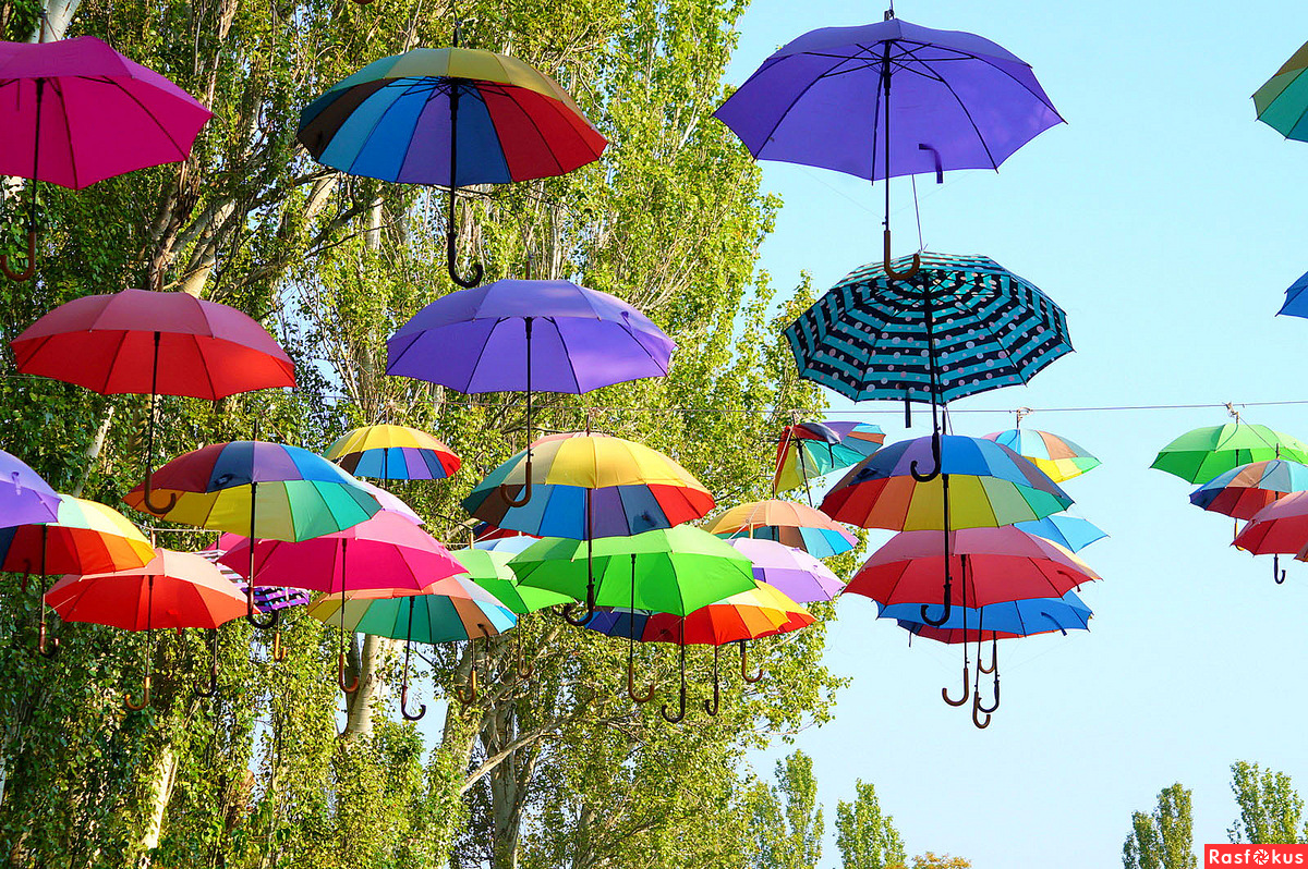зонтики над городом