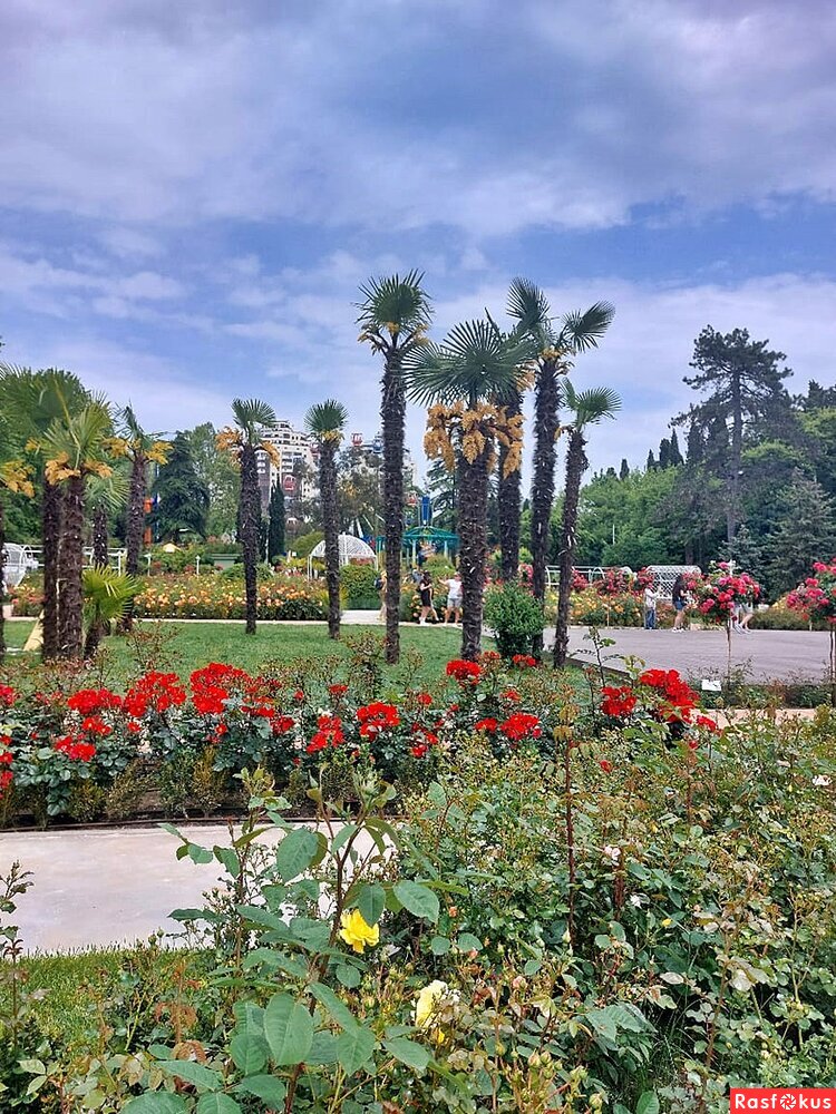 Цветущие пальмы в парке Ривьера