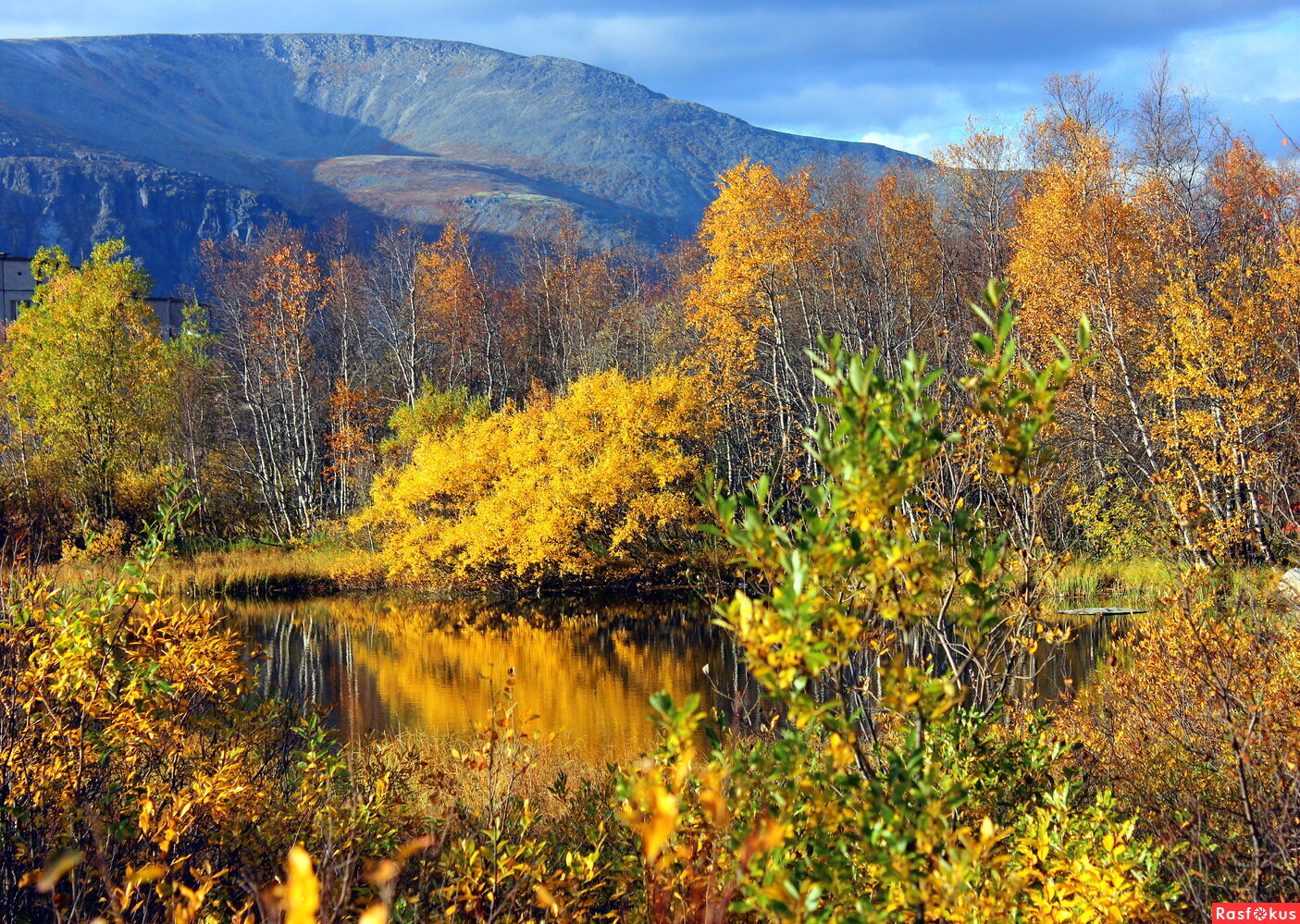 Лесное озеро... Осенние Хибины