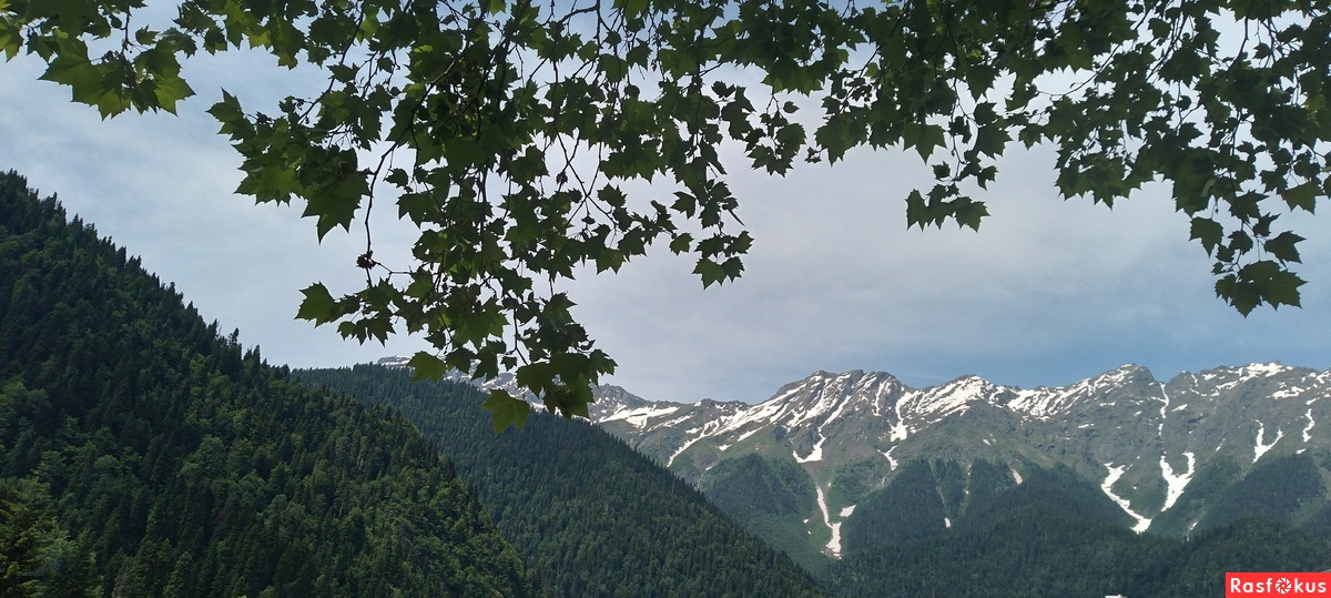 В горах Абхазии