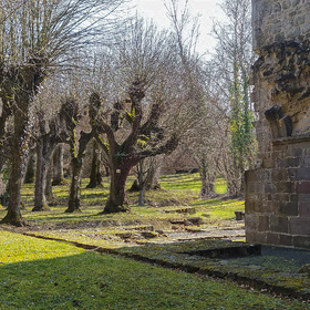 Пейзаж в парке с руинами немецкого собора.