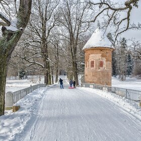 Зимой в Павловском парке.