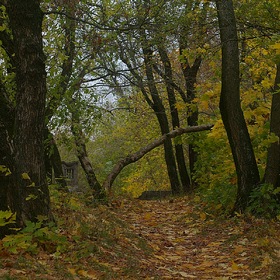 Осенними тропами старых парков...