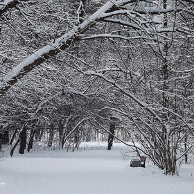 А в зимнем парке тихо и безлюдно, скрип снега нарушает тишину...