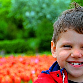 Мальчик и тюльпаны.