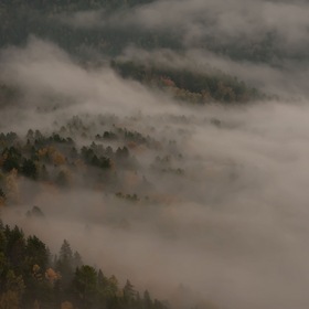 Осень с туманом...