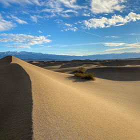 December morning in Death Valley. Mesquite Flat Sand Dunes.