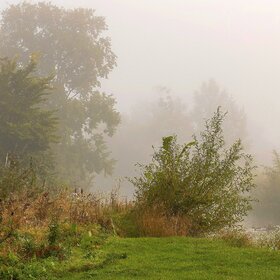 Осень в тумане