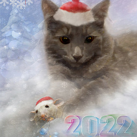 "Лучший мой Подарочек - это Ты"....Новогодний сон  моего котёнка Лаки
