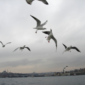 Над Стамбулом....