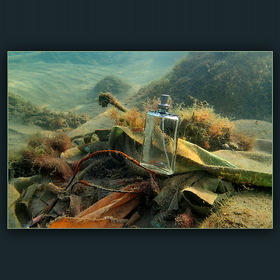 Подводно-мусорное