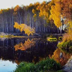 Засмотрелась Осень в  зеркало реки