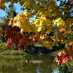 Осенний пейзаж