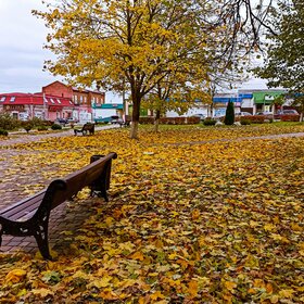 Листья жёлтые над городом кружатся...