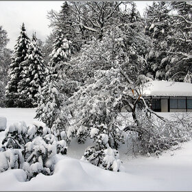 Снежной зимой в Японском саду ГБС