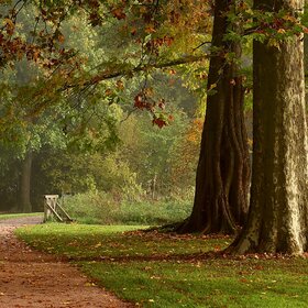 Осень гуляет в задумчивом парке, жёлтую с клёнов срывая листву