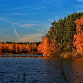 Nature Photo  "Луковое озеро"