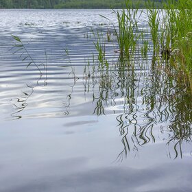 Летнее утро на озере Инышко.