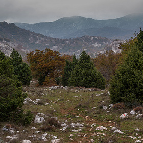 В горах Черногрии