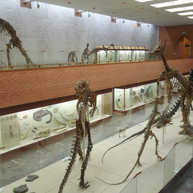 Палеонтологический