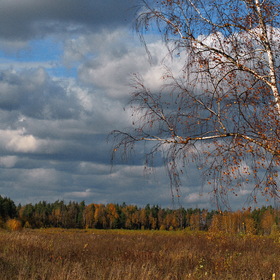 Осенний пейзаж.