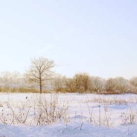 Зима для того и создана в белых тонах, чтобы начинать свою жизнь с белого листа. (Макс Фрай)