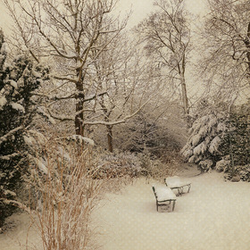 ... Лозанна снежной зимой ...