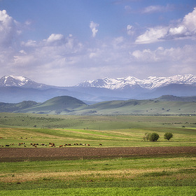 В предгорьях Кавказа