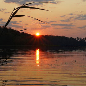 Рассвет на лесном озере этим Летом...