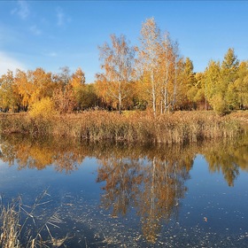 Осень на пруду