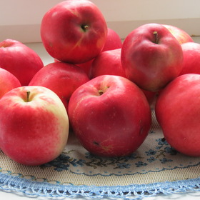 Молодильные яблочки... Из нашего сада...