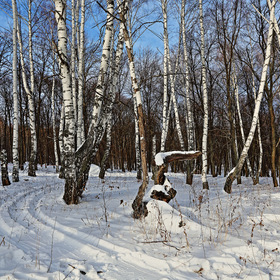 Зима Оренбургская