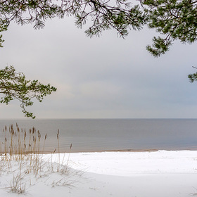 Финский залив в декабре.