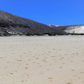 Песчаные берега..