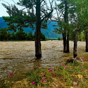 Река Чулышман