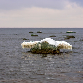 Финский залив в декабре. Камень с крыльями.