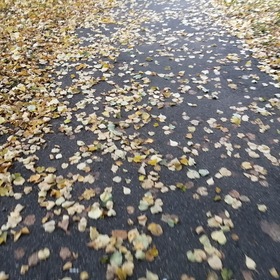 Дорожка в Осень