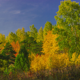 Осенний  пейзаж
