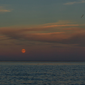Восход луны над Ладогой
