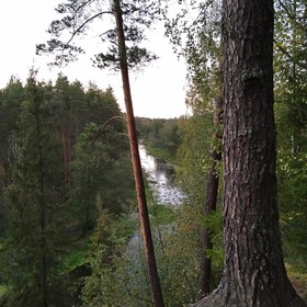 Река Нерль в лесу около деревни Старово