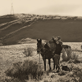 .. утро в горах... чилийские пастухи ...
