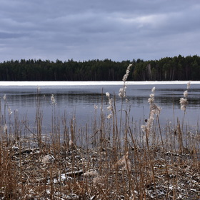 Озеро Ласковское.
