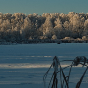 Nature Photo "Зима"