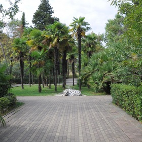 Скульптура "Леопард" в парке «Ривьера» г.Сочи