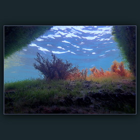 Подводные ландшафты
