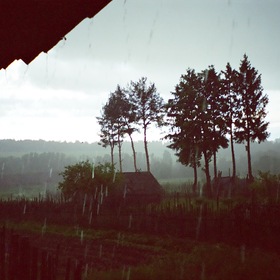 В деревне Гадюкино дожди.